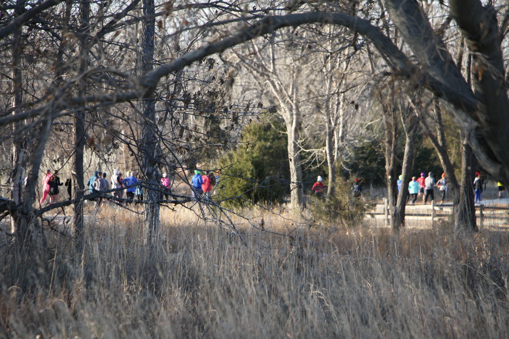 Turkey trotters gobble their way down trail